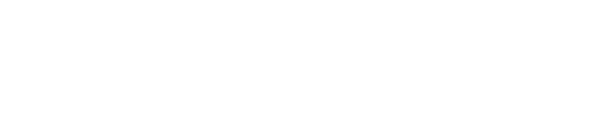 DataSales.ai Logo